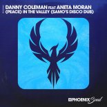 Danny Coleman, Aneta Moran - Peace In The Valley (SAMO's Disco Dub)