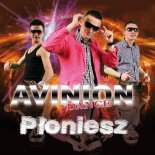 Avinion Dance - Płoniesz (BartRose RMX)