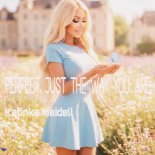 Katinka Meidell - Perfect just the way you are
