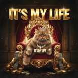 Geo Da Silva & Canello - It's My Life (Instrumental Raymix)