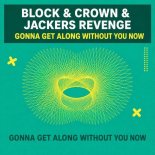 Block & Crown, Jackers Revenge - Gonna Get Along Without You Now (Original Mix)