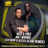 Nico & Vinz - Am I Wrong (Leo Burn & Alexx Slam Remix)