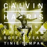 Calvin Harris feat. Tinie Tempah - Drinking From The Bottle (Leo Burn Remix)