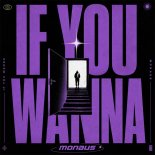 Monaus - If You Wanna (Extended Mix)