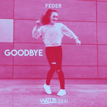 Feder feat. Lyse - Goodbye  (DJ WALUŚ RELOAD 2021)