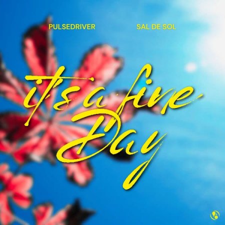 Pulsedriver & Sal De Sol - Its A Fine Day (Original Mix)